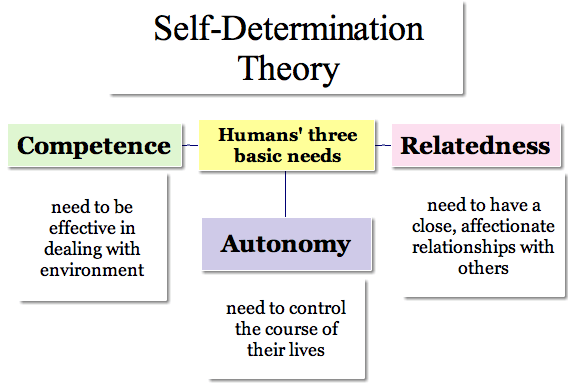 What Is A Self Determination Theory